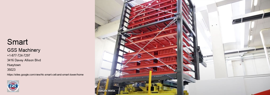 An Intelligent System For Monitoring Tower Cranes On