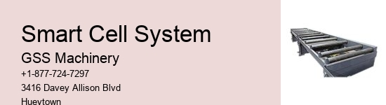 What Is The Cost Of Automatic Truck Loading System